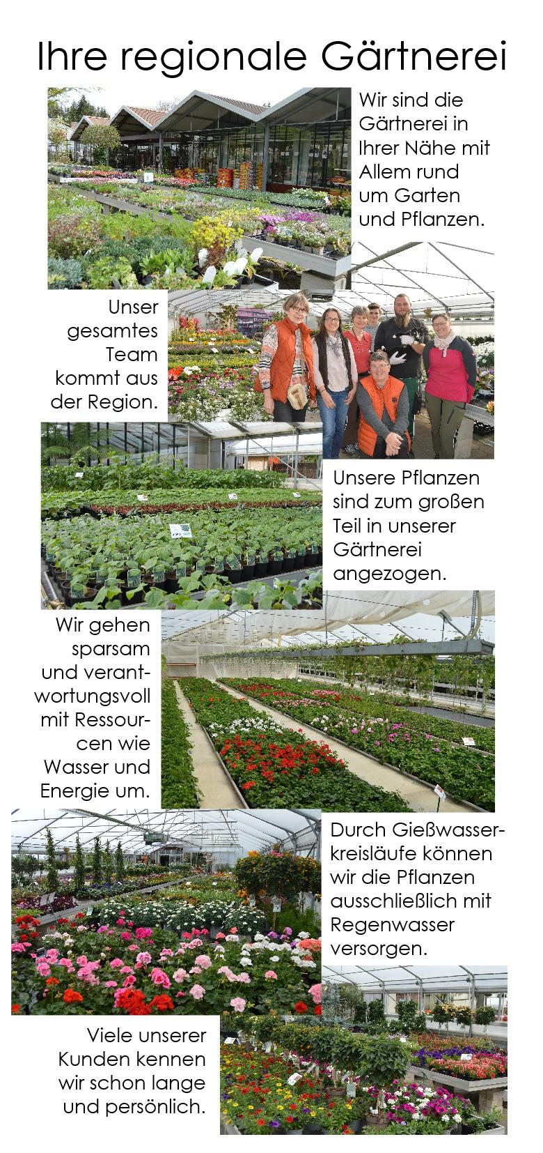 EinladungSommer24_1